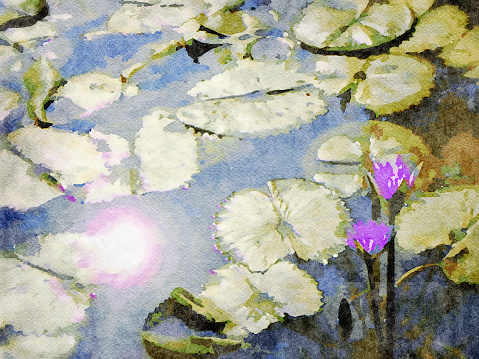 This is my Photographic Image of a Lotus Water Lillies in Pond in a Watercolour Effect. Because sometimes you might want a more illustrative image for an organic look.