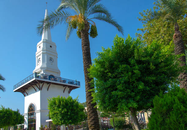 torre do relógio branco e palmeiras verdes no centro de kemer, turquia - boulevard sea water house - fotografias e filmes do acervo