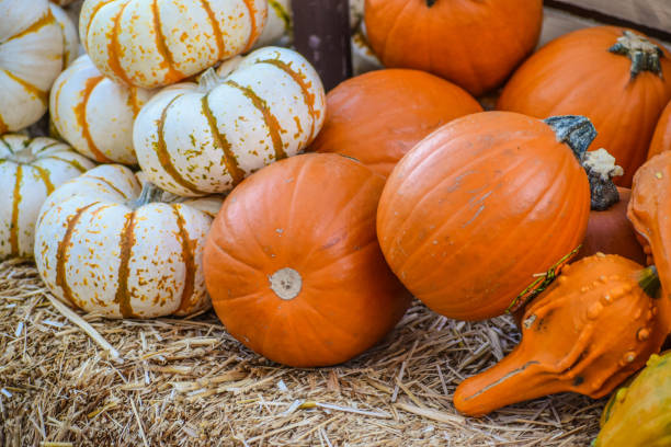 istock Food Orange and White Pumpkins 1208687826