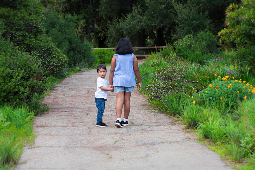Little brother is holding big sisters hand as they walk away on a path full of lush green pants and flowers.