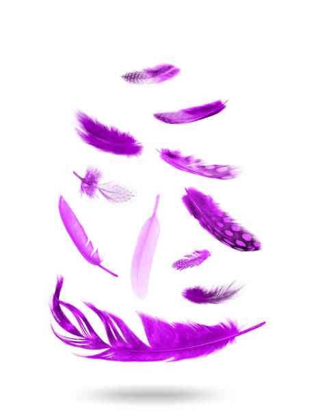 istock color flying feathers. Isolated on white background. 1208689602