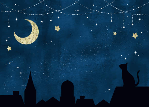 ilustraciones, imágenes clip art, dibujos animados e iconos de stock de estrellas centelleantes, luna y gato por la noche - cielo estrellado