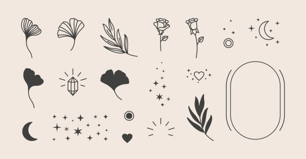 ilustrações de stock, clip art, desenhos animados e ícones de elements for logo design - rose, ginkgo biloba leaf, stars, moon, frame. vector illustration in a minimal linear style - rose colored