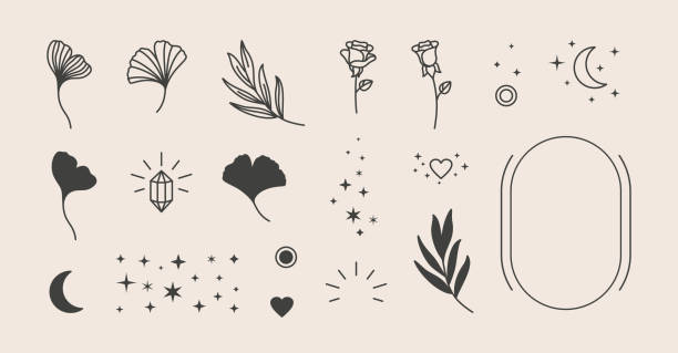элементы для дизайна логотипа - роза, листья гинкго билоба, звезды, луна, рама. векторная иллюстрация в минимальном линейном стиле - форма звезды иллюстрации stock illustrations