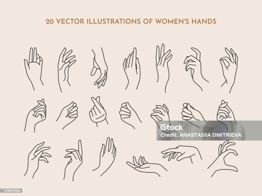 Un conjunto de iconos manos de las mujeres en un estilo lineal minimalista de moda. Ilustración vectorial de manos femeninas con varios gestos - arte vectorial de Mano libre de derechos