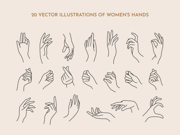 トレンディな最小限のリニアスタイルでのアイコン女性の手のセット。様々なジェスチャーを持つ女性の手のベクトルイラスト - human hand点のイラスト素材／クリップアート素材／マンガ素材／アイコン素材