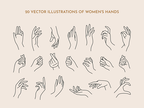 A set of icons women's hands in a trendy minimal linear style. Vector Illustration of female hands with various gestures. To create logos, prints, patterns, posters, and other designs