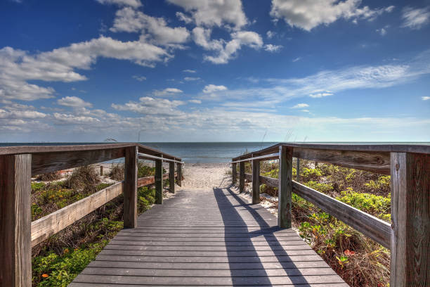 istock Boardwalk leading to Lighthouse Beach Park 1208692588