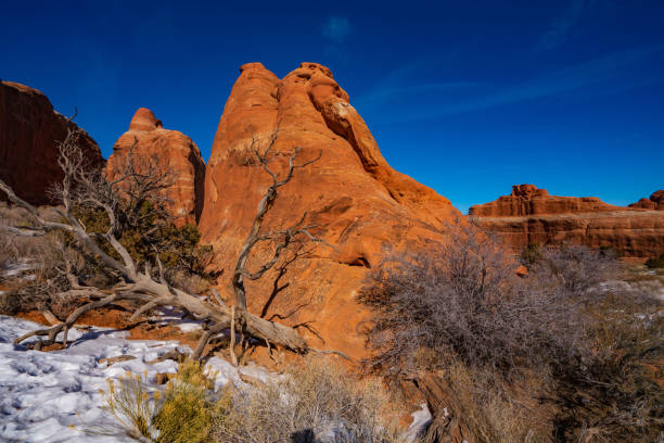 istock Sandston in the Snow in Devils Garden 1208692742