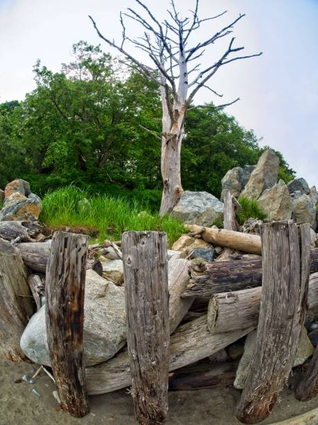istock Island View Beach 1208692842