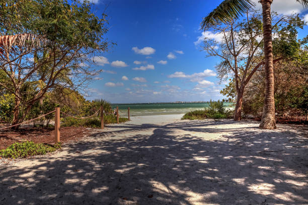 istock Driftwood and White sand along Lighthouse Beach Park 1208692850