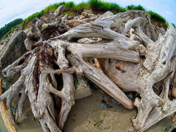 istock Island View Beach 1208692855