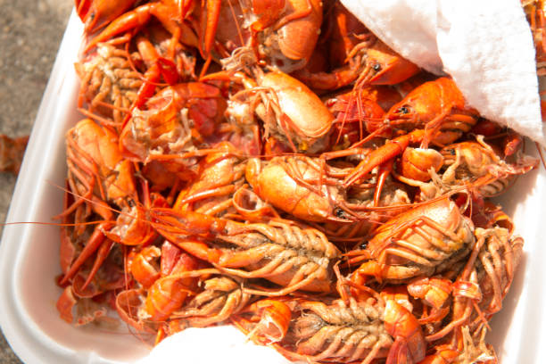 sterta gotowanych raków gotowanych i gotowych do spożycia w nowym orleanie w luizjanie - crayfish new orleans cajun food louisiana zdjęcia i obrazy z banku zdjęć