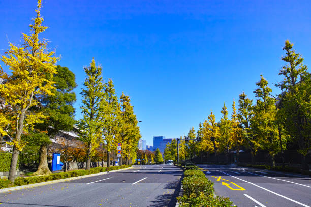 istock Autumn in Chiyoda-ku, Tokyo 1208700372