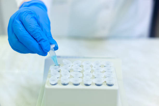 istock Laboratory worker puts samples into a tray making analysis for immunity viruses in a medical laboratory 1208702986