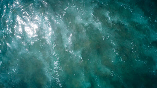 istock Drone aerial view of sea wave surface 1208704157