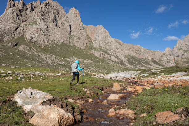 istock Young woman backpacker walking on high altitude flowering meadow 1208704273