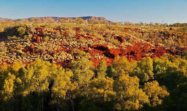 istock Beautiful Karijinian Outback 120870490