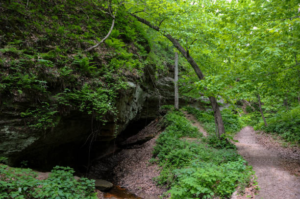 istock Wildcat Den State Park - Cave Entrance and Footpath 1208705860