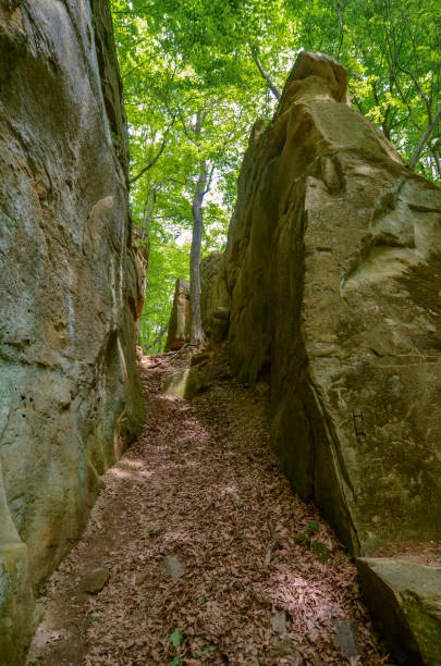 istock Wildcat Den State Park Footpath by the Wall 1208705877