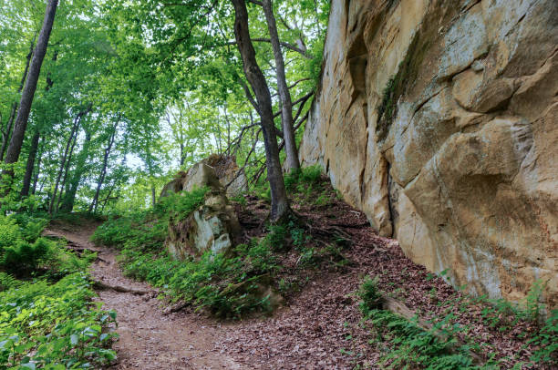istock Wildcat Den State Park - Footpath, Trees & Rock Wall 1208707115