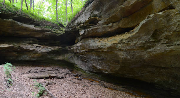 istock Wildcat Den State Park Green Alcove Panorama 1208708367
