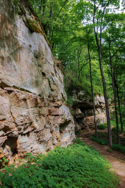 istock Wildcat Den State Park - Footpath Amid Trees & Rock Walls 1208708388