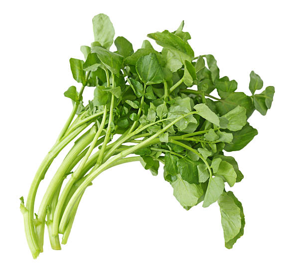 A small loose bunch of watercress curved to right, on white Fresh Watercress isolated on white background cress stock pictures, royalty-free photos & images