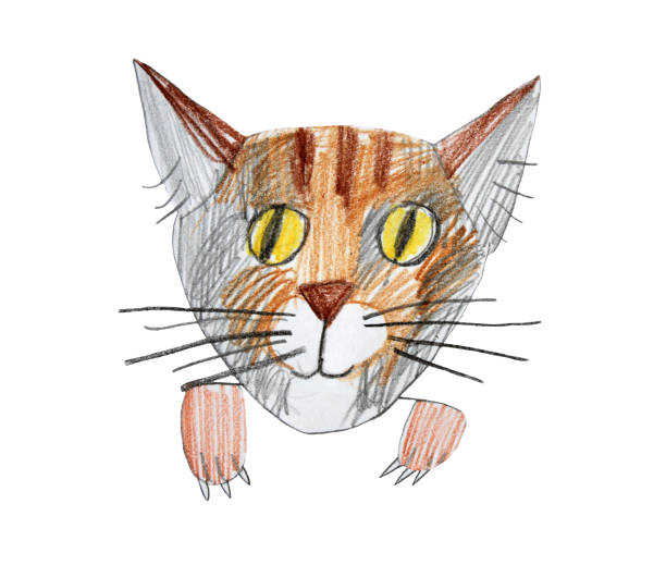 istock Hand-drawn color pencil sketch cat isolated on white background naive art 1208716293