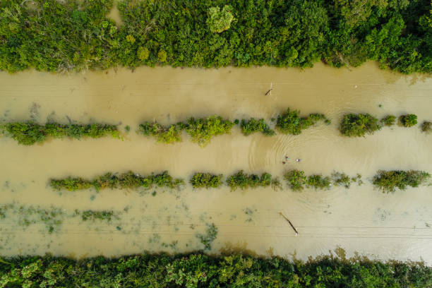 istock Flooded road in Central America 1208718142