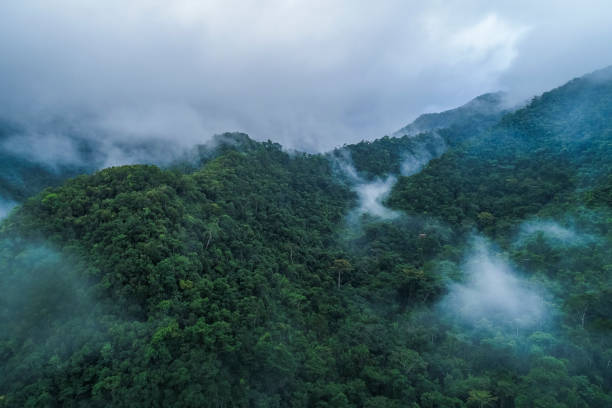 istock Misty Mayan Mountains in Central America 1208718158