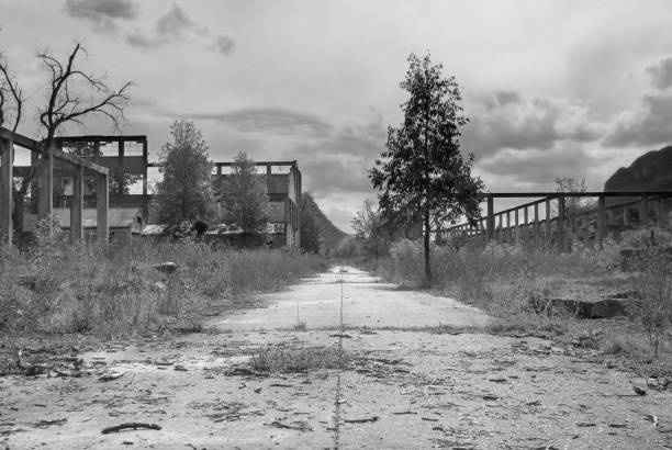 Road through the ruins of the oil shale refinery at Glen Davis
