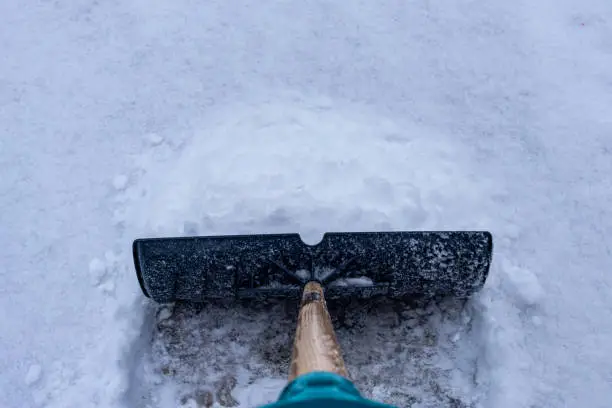 A snow shovel is seen pushing snow along a driveway from the perspective of someone shoveling their lane after a winter snowfall.
