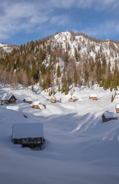 istock Mountain cabins in Dedno polje, Bohinj mountains 1208723258