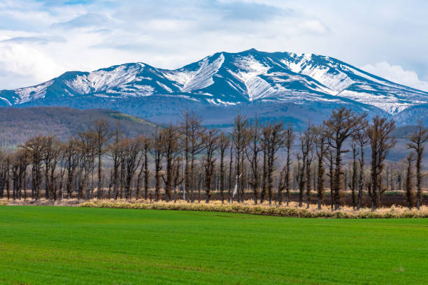 istock Rural landscapes. Rolling mountain range, farmland field and blue sky 1208734664