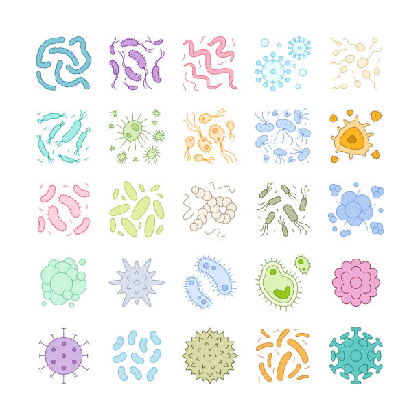 ilustraciones, imágenes clip art, dibujos animados e iconos de stock de virus, bacterias, gérmenes y microbios, icono vectorial - cell human cell plant cell virus