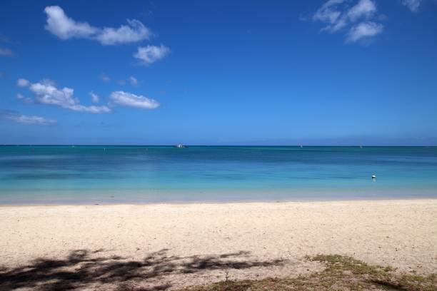istock Mont Choisy Beach, Mauritius, Indian Ocean, Africa 1208737266