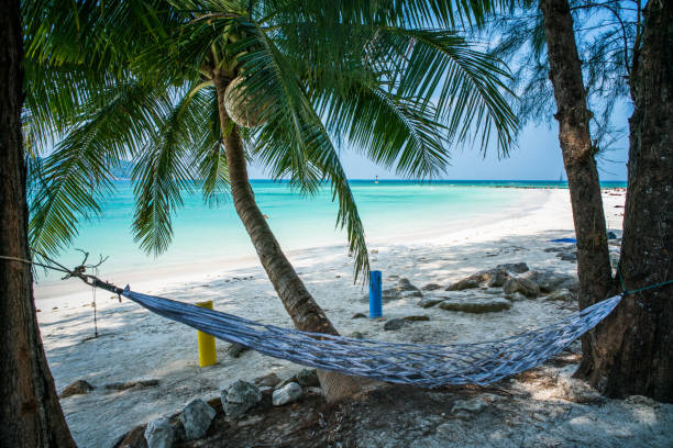 istock Hammock in a shade on the beach. 1208737866