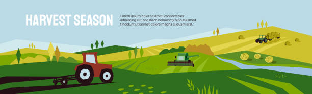 ilustrações de stock, clip art, desenhos animados e ícones de illustration of agriculture and harvest season in countryside - river valley landscape rural scene