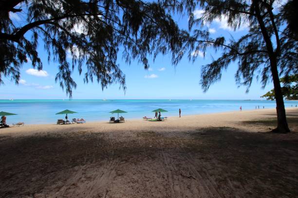 istock Mont Choisy Beach, Mauritius, Indian Ocean, Africa 1208737961
