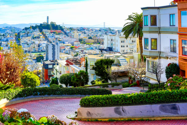 san francisco: lombard street - bridge road city golden gate bridge fotografías e imágenes de stock