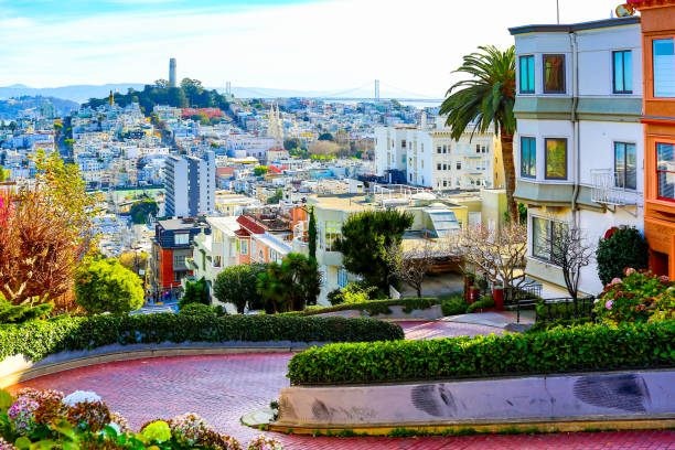 San Francisco: Lombard Street San Francisco: Lombard Street fishermans wharf san francisco photos stock pictures, royalty-free photos & images