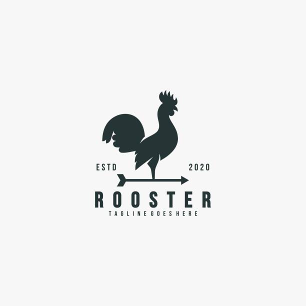 illustrations, cliparts, dessins animés et icônes de vector illustration rooster pose silhouette style. - animal egg illustrations