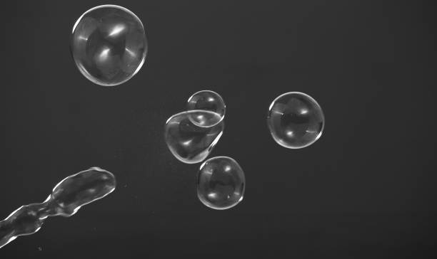 istock Real soap bubbles floating and moving on studio background which made from soapy shampoo and blow by people to represent light wind and refreshing mood 1208745065