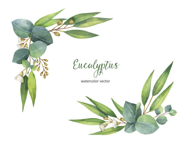 istock Watercolor green floral wreath with eucalyptus leaves and branches isolated on white background. 1208745120