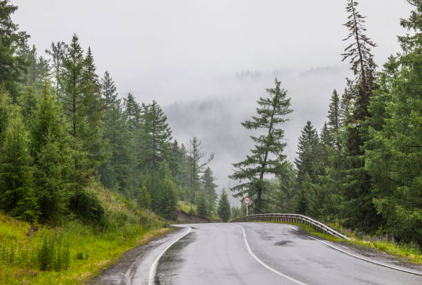 istock Mountain road in rainy weather 1208745512