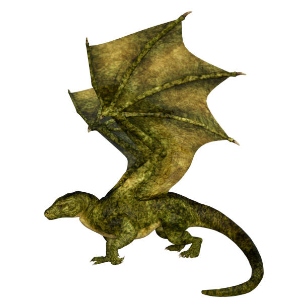 istock 3D illustration fantasy dragon on white 1208746622