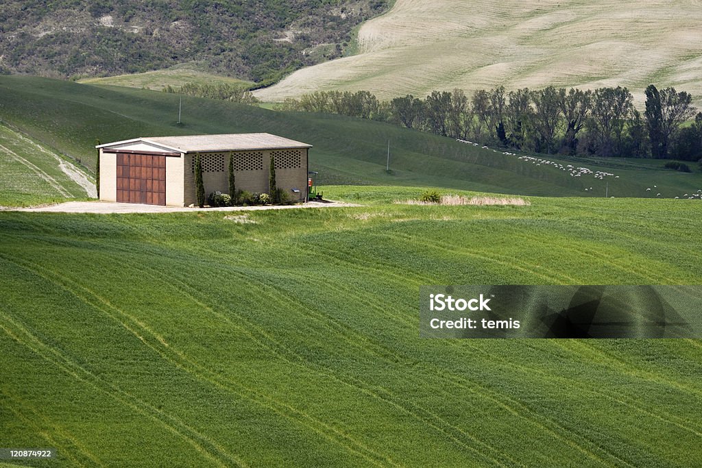 Paisagem da Toscana - Royalty-free Ao Ar Livre Foto de stock