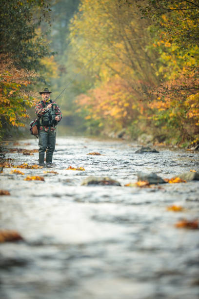 istock Fly fisherman fly fishing on a splendid mountain river 1208749609