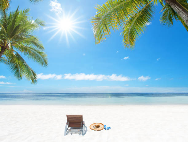 istock Summer tropical beach holiday and vacation scene 1208750135